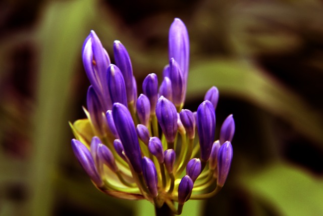 波切蒂诺：我对美国队的目标始终如一，就是要赢得世界杯