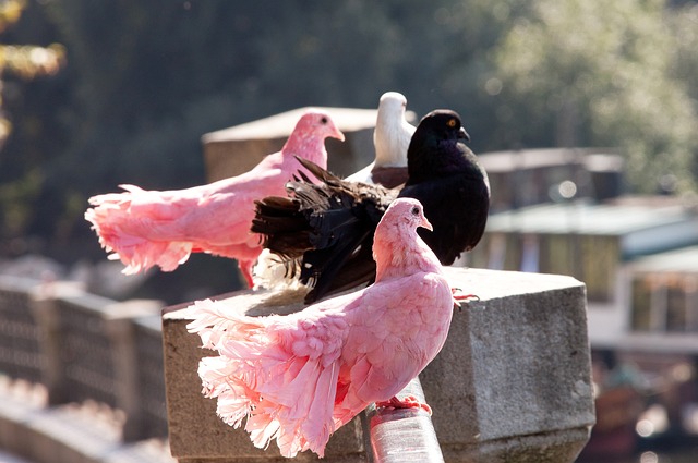 国家德比皇马2-1巴萨5分领跑 近6轮巴萨比皇马多拿9分反超4分