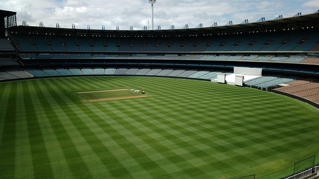 了他对训练 了他对训练