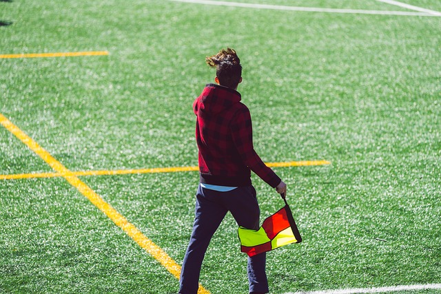 这不仅展现 这不仅展现