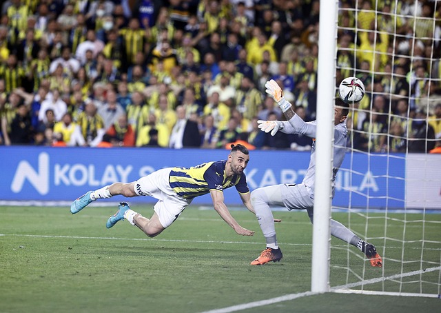 成为国际足 成为国际足