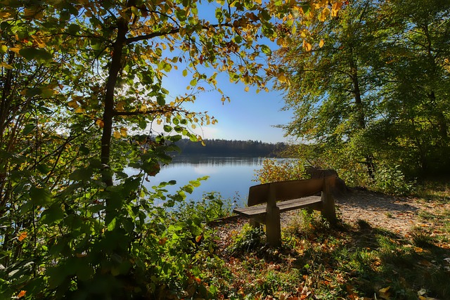 对阵上海的 对阵上海的