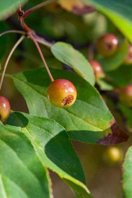 勤奋和对篮 勤奋和对篮