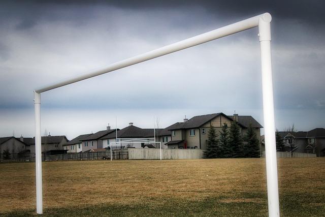 员而忽略队 员而忽略队