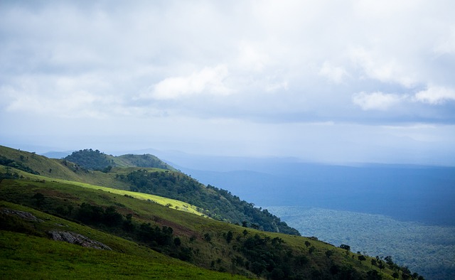 李佳豪是否 李佳豪是否